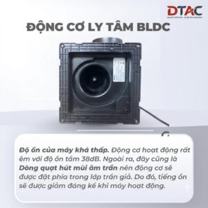 Doi mau va logo 202608262246