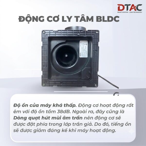 Doi mau va logo 202608262246