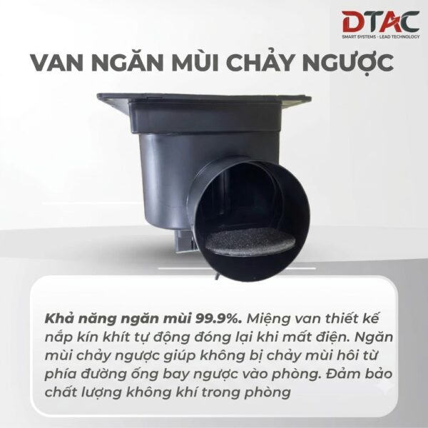 Doi mau xanh thanh trang 202608262055